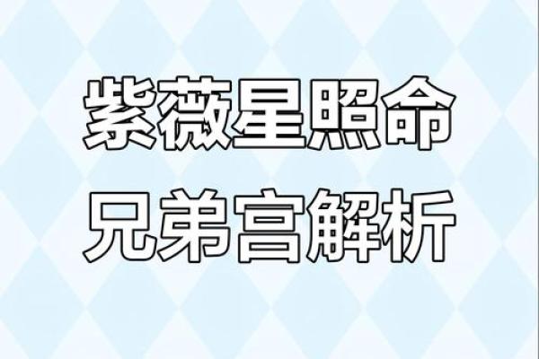 紫微斗数之兄弟宫与诸星,太阳星在兄弟宫是什么意思？