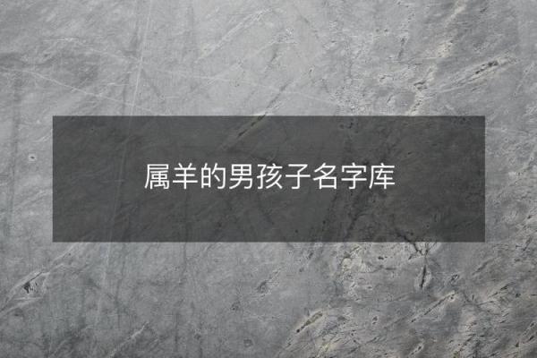 晚上十点出生的属羊男孩如何起名，适合什么字姓名