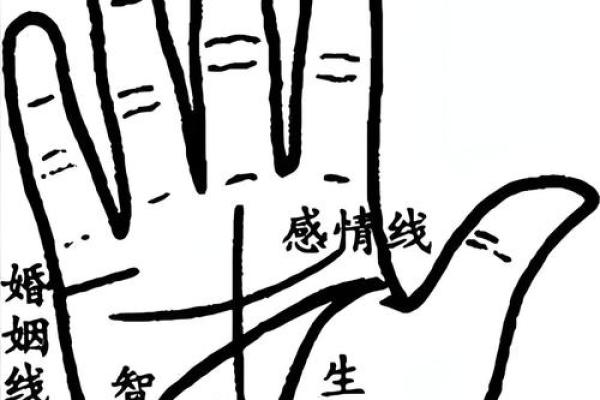 图解-智慧线上有十字纹算命