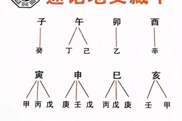 八字纳音五行解析