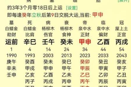 八字排盘图解
