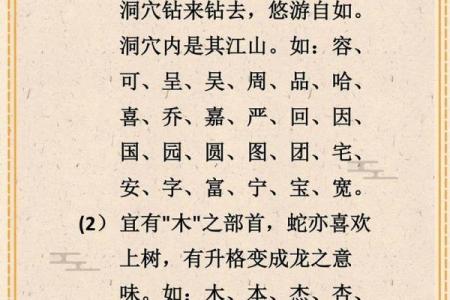 6月份出生的属蛇男孩应该取什么名字姓名