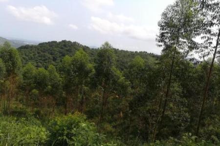 绝不可居住的六大风水凶地！