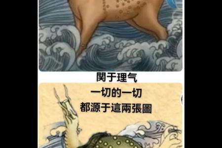 三合风水和天星风水区别