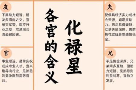 华盖星紫薇斗数
