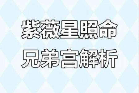 紫微斗数之兄弟宫与诸星,太阳星在兄弟宫是什么意思？