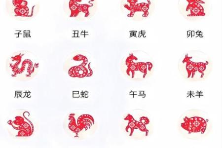 属猴人算命