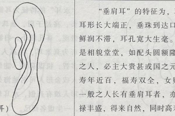 耳相算命图解，如何从耳相看人的命运