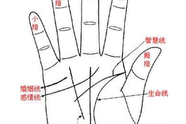 手相指纹算命图解
