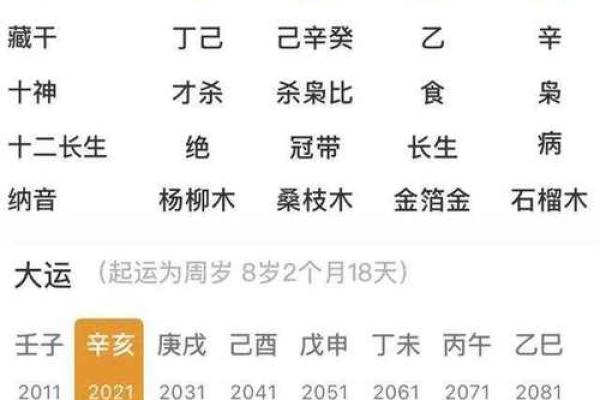 丁酉丙午癸酉丁巳，解析八字命盘的五行属性和性格特点