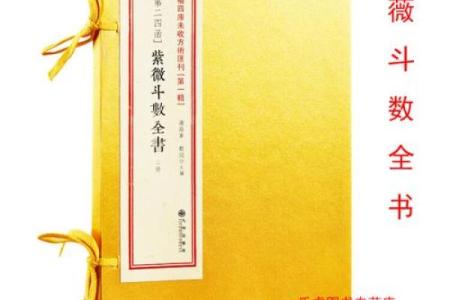 紫薇斗数全书陆