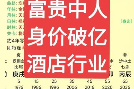 八字食才