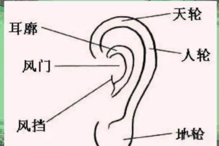 耳相算命图解，如何从耳相看人的命运