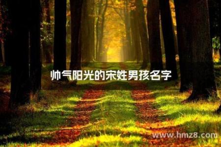 宋姓男孩名字大全-宋姓男孩起名字大全-宋姓名字大全姓名