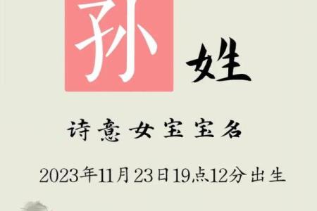 孙姓女孩名字大全-孙姓女孩起名字大全-孙姓名字大全姓名