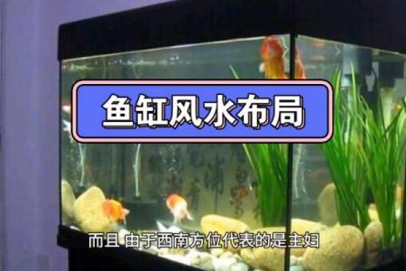 家中养鱼6大风水禁忌客厅鱼缸怎么摆放旺财示意图