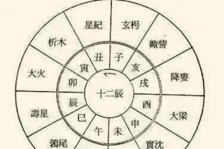易经详解八字地支相合之六合局