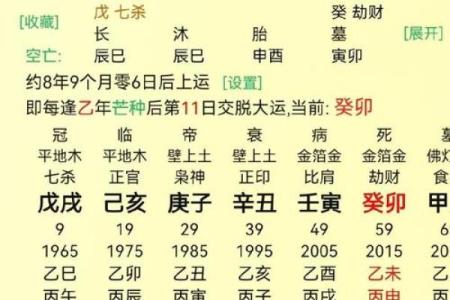 八字看你命如何