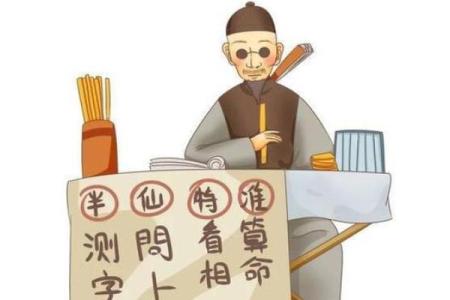 看相算命有哪些视频