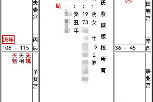 紫薇斗数财帛星