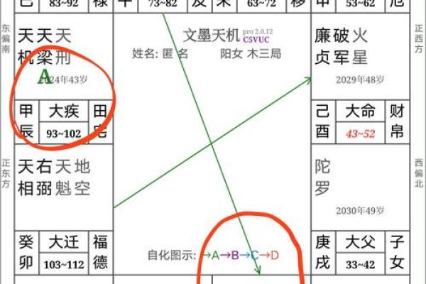 怎么排紫微斗数命盘快 紫微斗数快速排盘法？