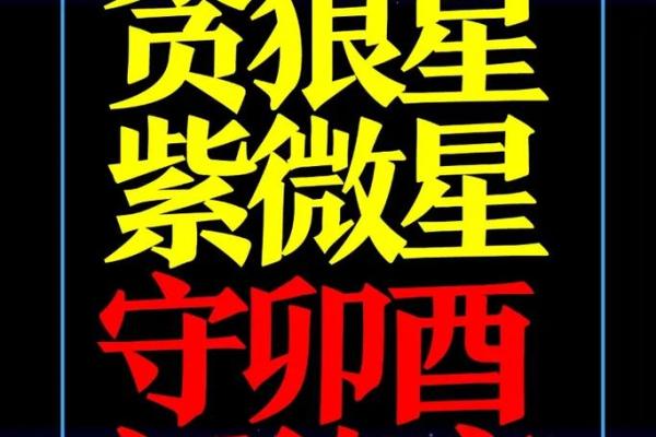 女命紫薇斗数夫妻宫贪狼