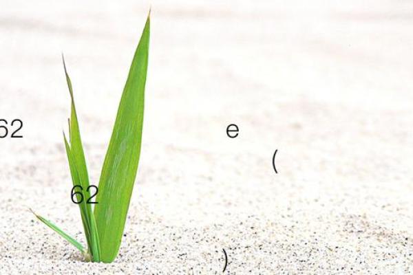 月老灵签53签解签姻缘