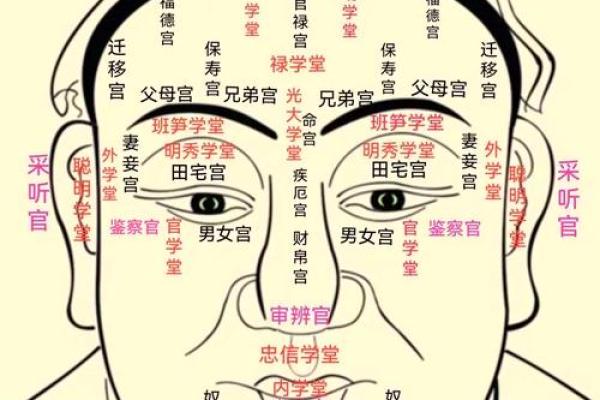 紫微斗数诸星落诸宫之：天机星财帛宫详解