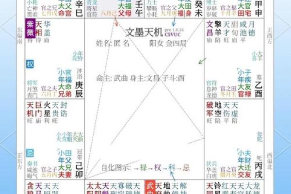紫微斗数，解析紫薇南斗星