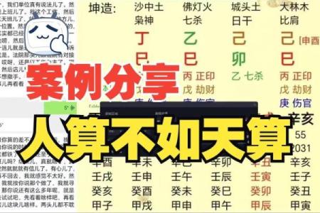 算八字斤两