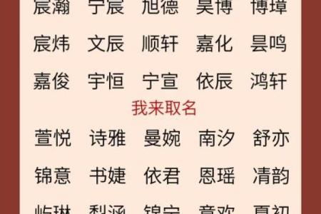 怎样给属狗戍时出生的男孩起名，宜用什么字姓名