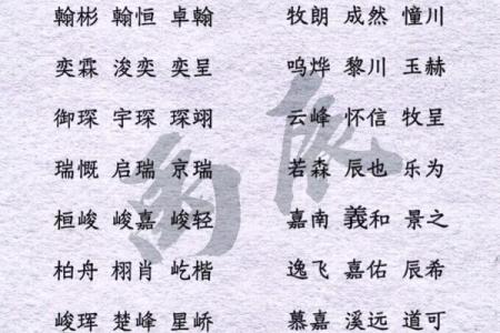 2019年4月5号子时出生的男孩如何起名姓名