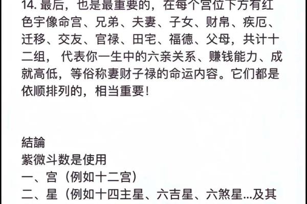 紫薇斗数详解软件