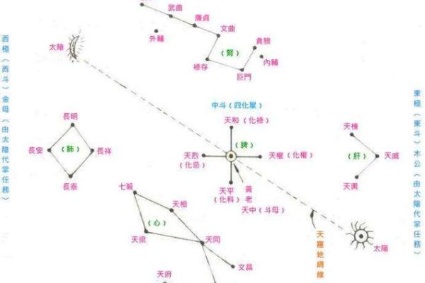紫薇斗数爱好群