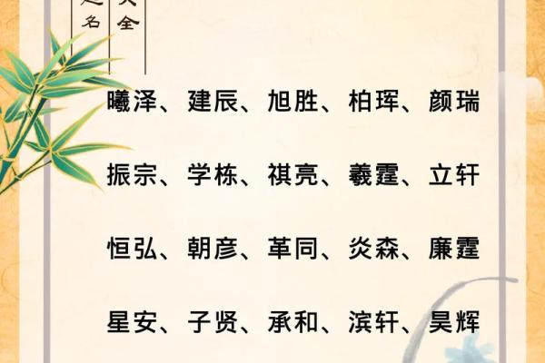 2019年5月16号子时出生的男孩应该起什么样的名字姓名