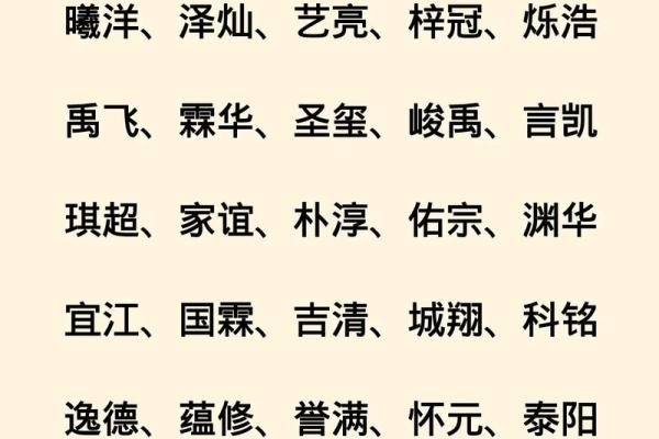 2019年4月5号辰时出生的男孩起名方法姓名