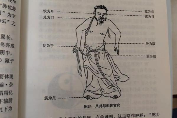 八字看健康；和中医的共通之处