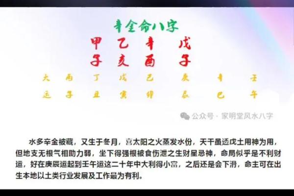 分析八字