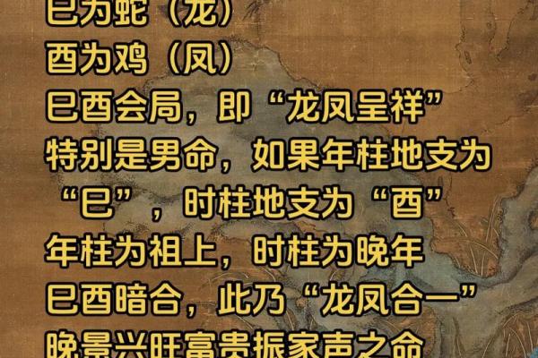 巳酉八字