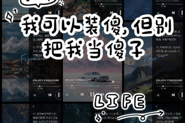 测试真傻和装傻