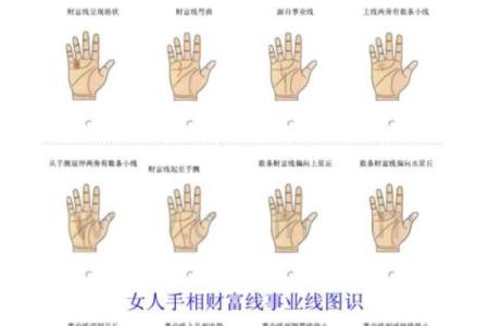 看手相算命：第四课 论事业命运