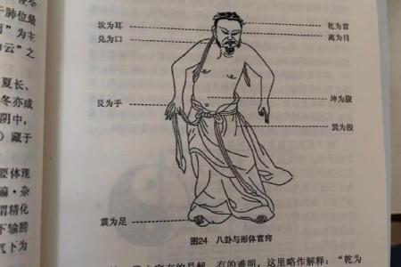 八字看健康；和中医的共通之处