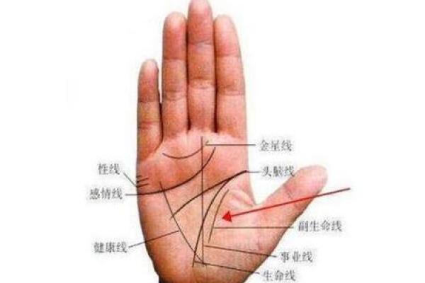 手相算命图解事业线