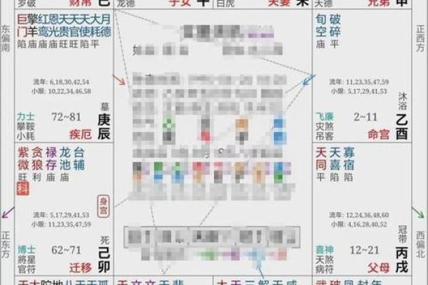 紫微斗数实战 紫微斗数实战案例？