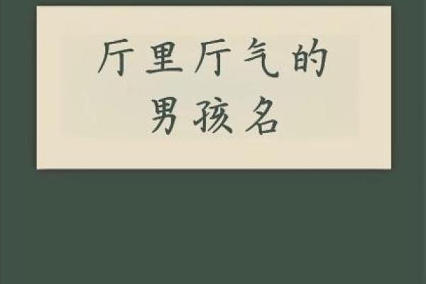如何给属蛇酉时出生的男孩起名，适合什么字姓名