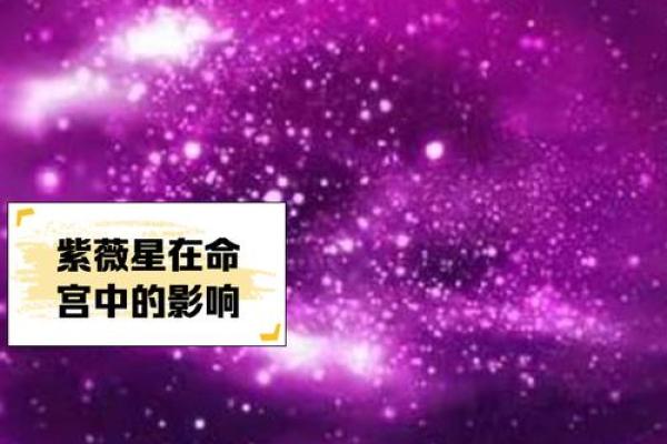 紫薇斗数四帝星