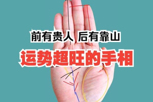 免费拍照看手相算命在线