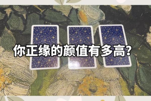 塔罗牌免费测试正缘，塔罗牌免费测试占卜正缘？