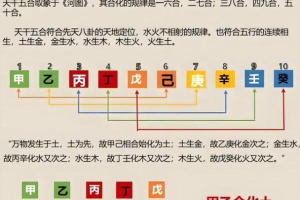 八字十天干的特点要义（下）