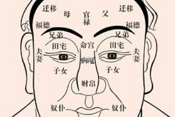 济缘算命：嘴唇揭示命运的密码